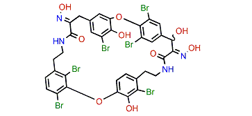 Bastadin 24